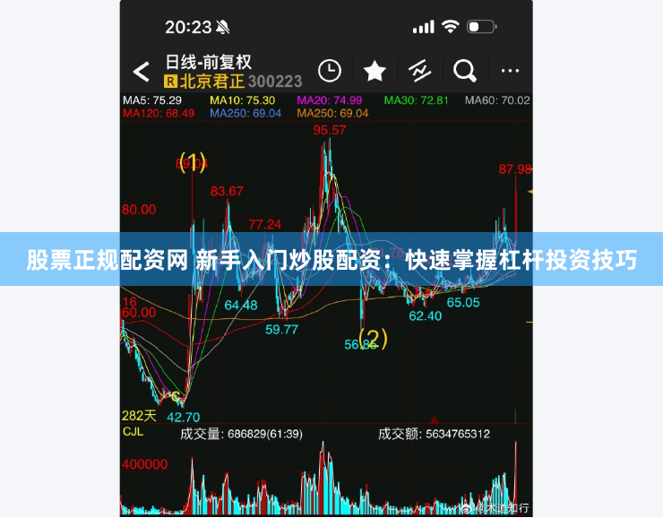 股票正规配资网 新手入门炒股配资：快速掌握杠杆投资技巧
